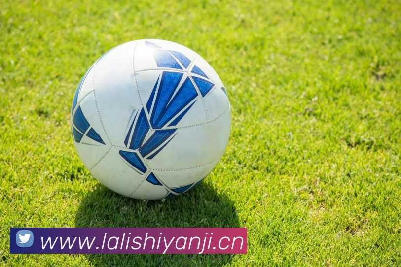 云开体育app官网入口登录网页版平台生态图